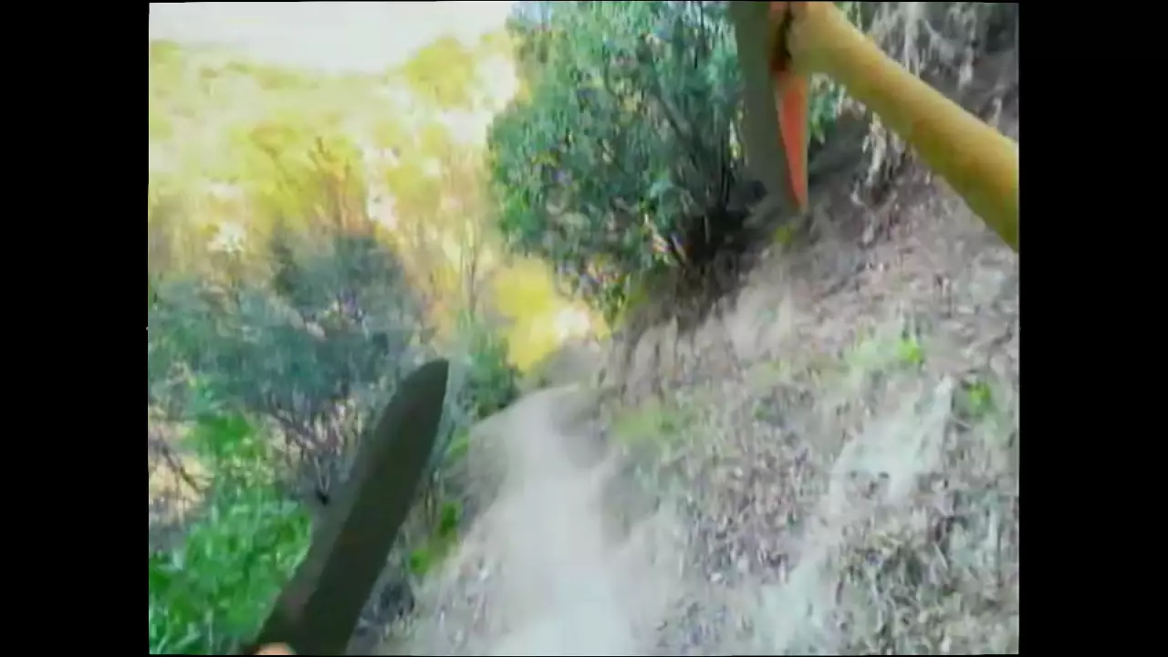 Blippo+, l’ovni télévisuel qui brouille les frontières entre jeu et art