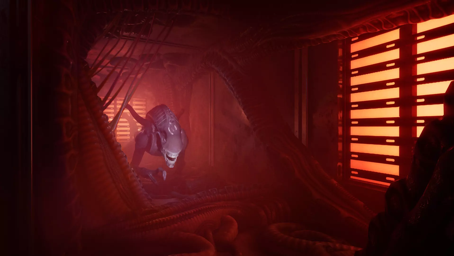 ARIE Screenshot 5.jpg