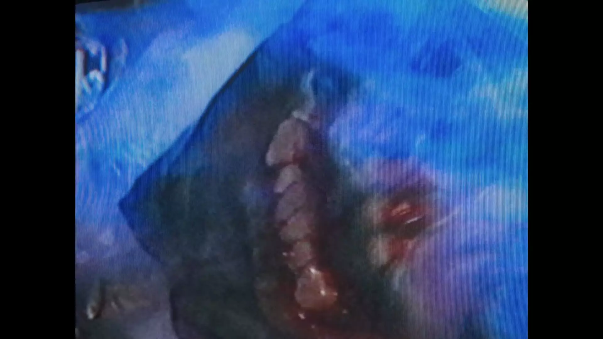 Screenshot_DeadFormat (6).jpg