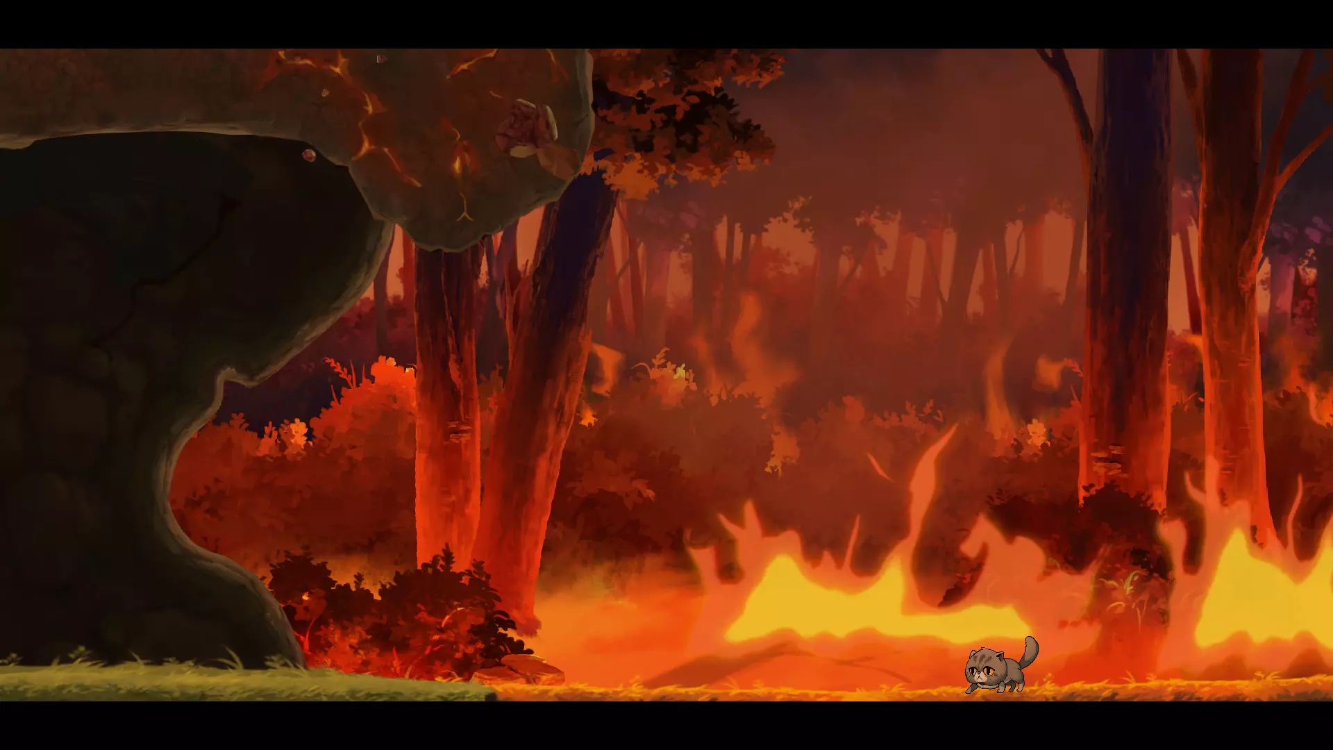 Capture d’écran (2125).png