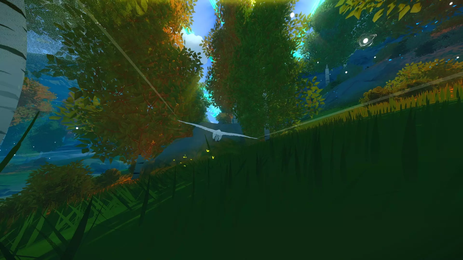 Forest.jpg