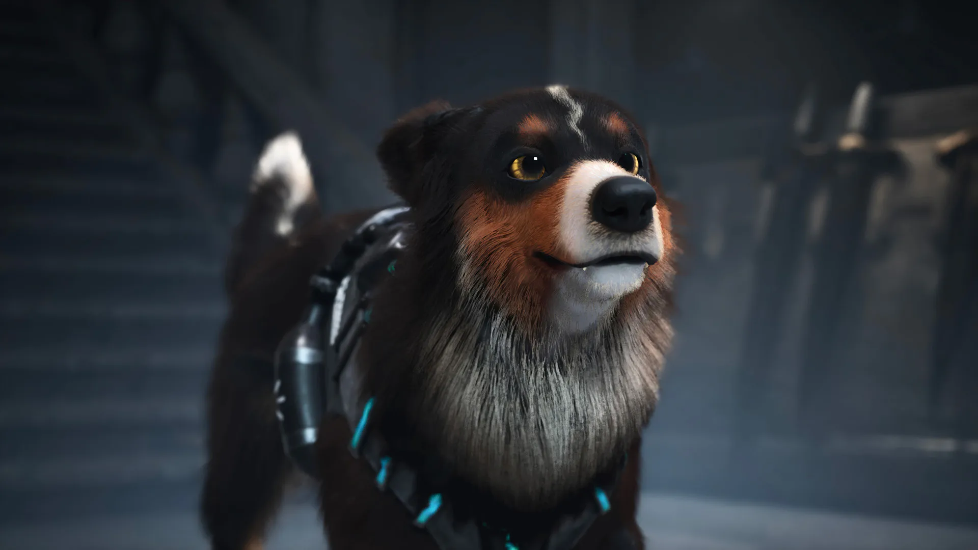 BARKOUR_Screen12.jpg