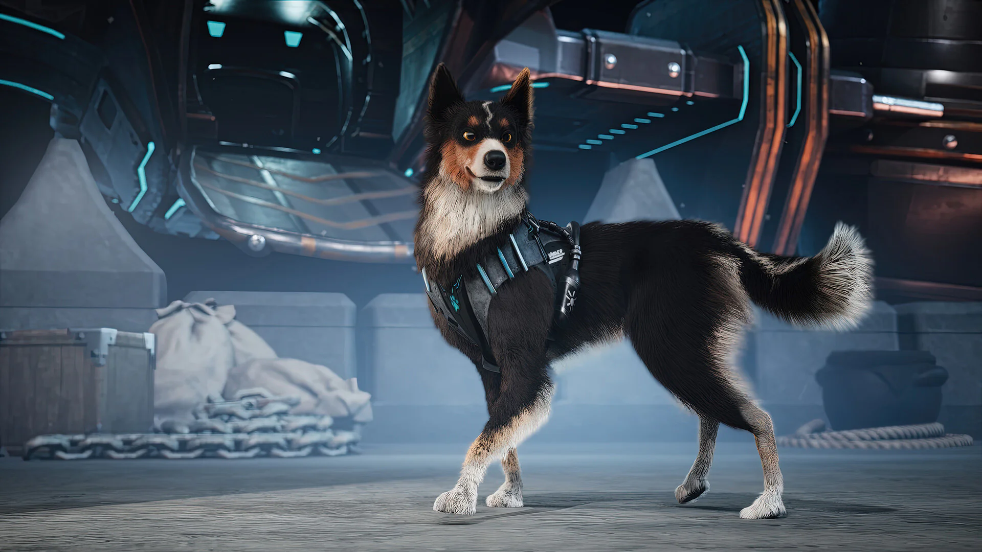 BARKOUR_Screen2.jpg