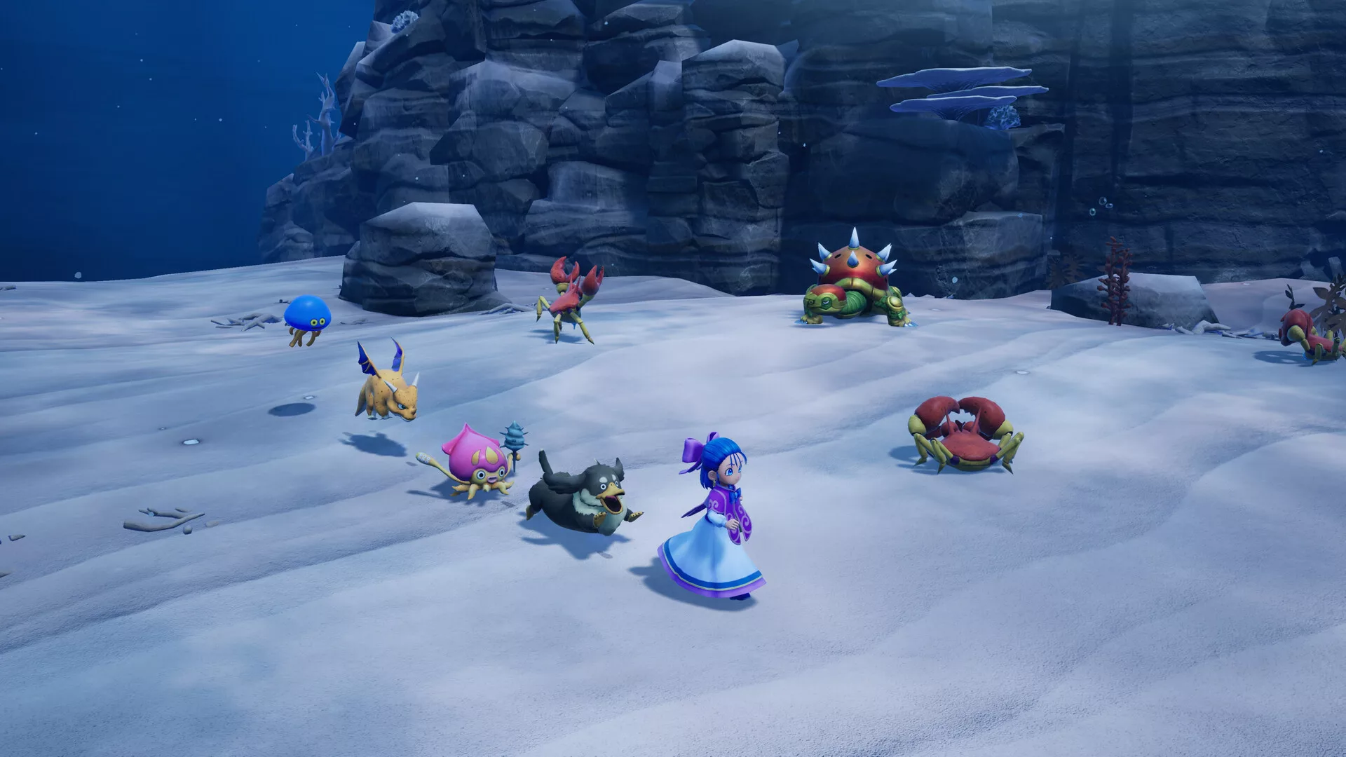 dragon-quest-monsters-le-royaume-de-boisfletri_Screenshot_002.jpg