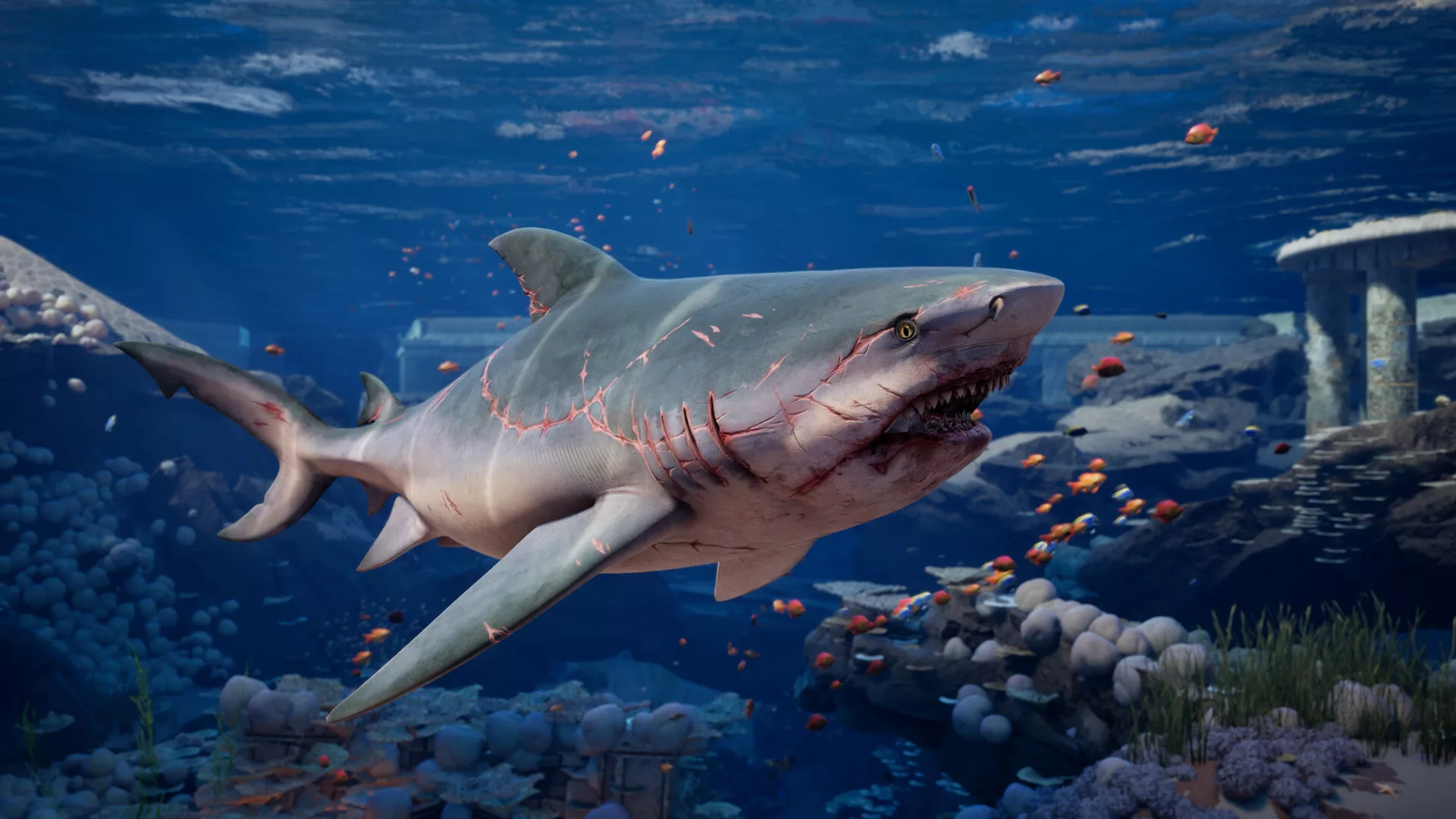maneater-2_Screenshot_001.jpg